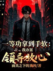 一等功拿到手软:我办案领导放心