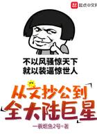 从文抄公到全大陆巨星