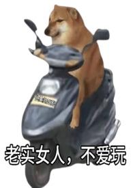 老实女人,不爱玩