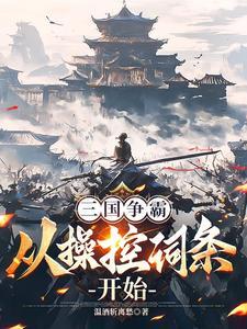 三国争霸，从操控词条开始