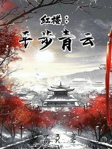 红楼:平步青云