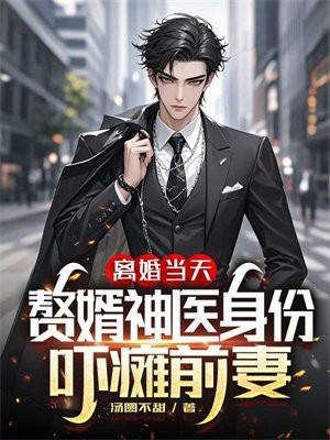 离婚当天,赘婿神医身份吓瘫前妻